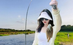 普京被南非总统当面夸赞